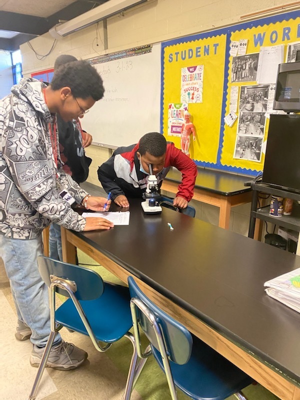 Students look at microscope
